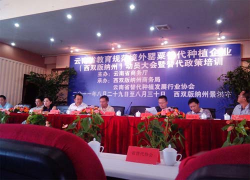 ����Ҏ(gu��)����������Nֲ��I(y��)��(d��ng)�T���(hu��)�ھ������_(k��i)