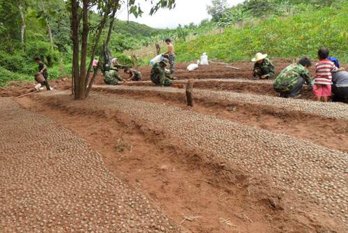 ������Nֲ�_(k��i)չ���繤��