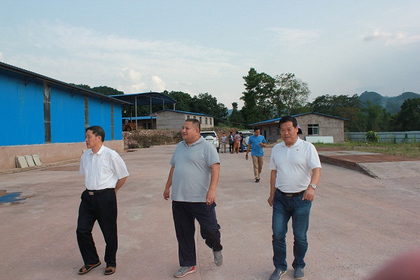 ����ʡ����Nֲ�l(f��)չ�ИI(y��)�f(xi��)��(hu��)���p��{�k��̎�I(l��ng)��(d��o)һ�е���˾�z�S(ch��ng)�z��ָ��(d��o)����