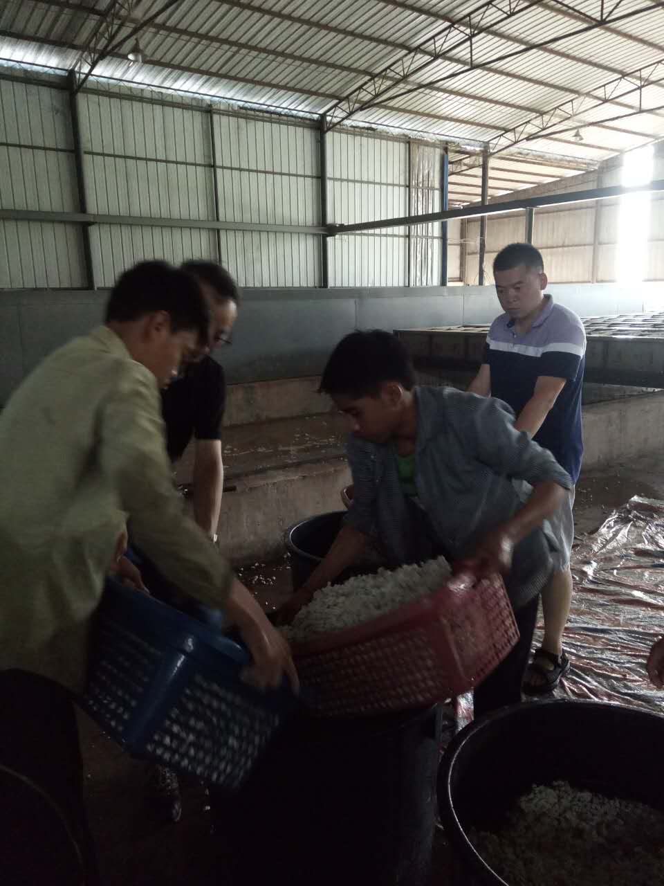 ���u�Ƽ���W(xu��)������ʿ�W�R��˾ָ��(d��o)ԇ�(y��n)