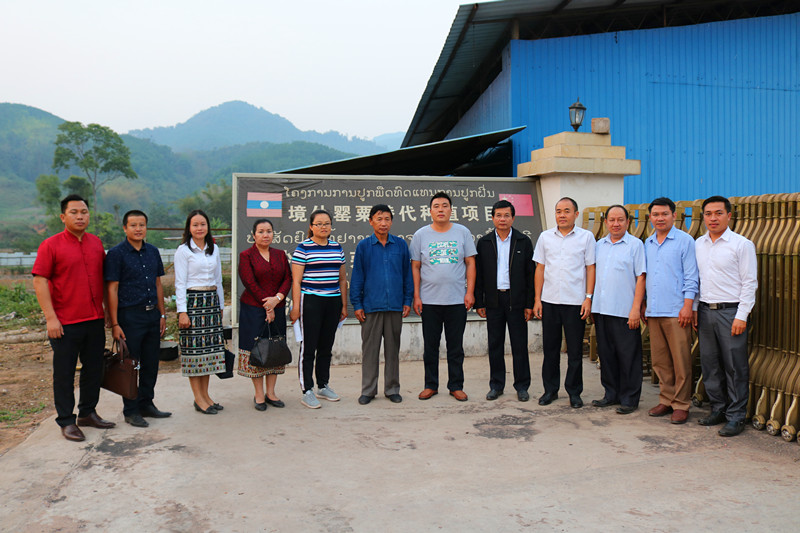 �ϓ������⽻�������L(zh��ng)���i������������һ�и���˾�{(di��o)��